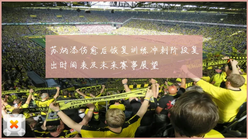 苏炳添伤愈后恢复训练冲刺阶段复出时间表及未来赛事展望
